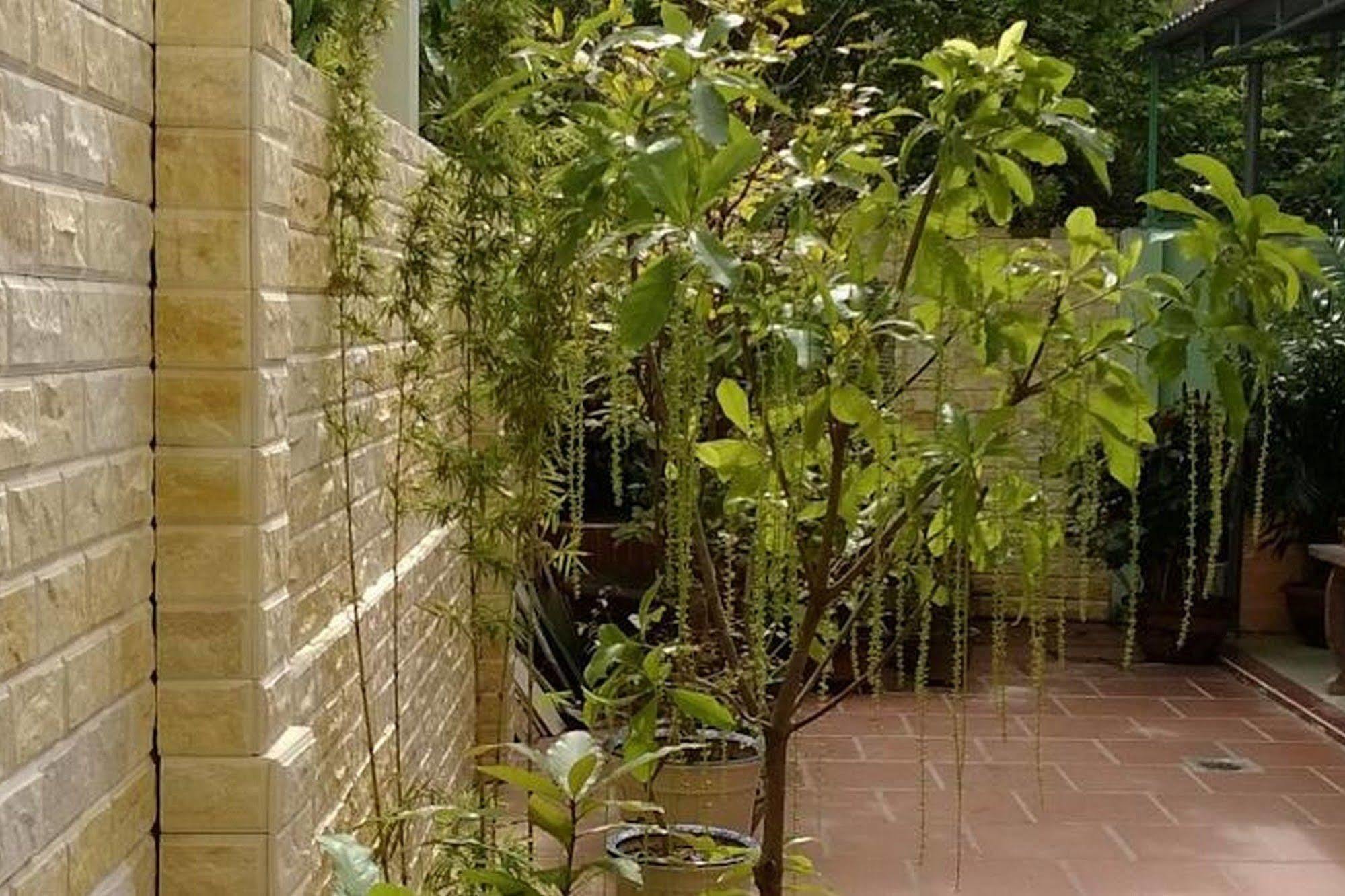 Hi Hop Yen Homestay Hoi An Esterno foto